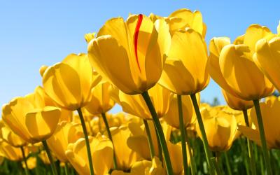 Lorem ipsum dolor sit amet, consectetuer adipiscing elit. Lorem ipsum dolor sit amet, consectetuer a